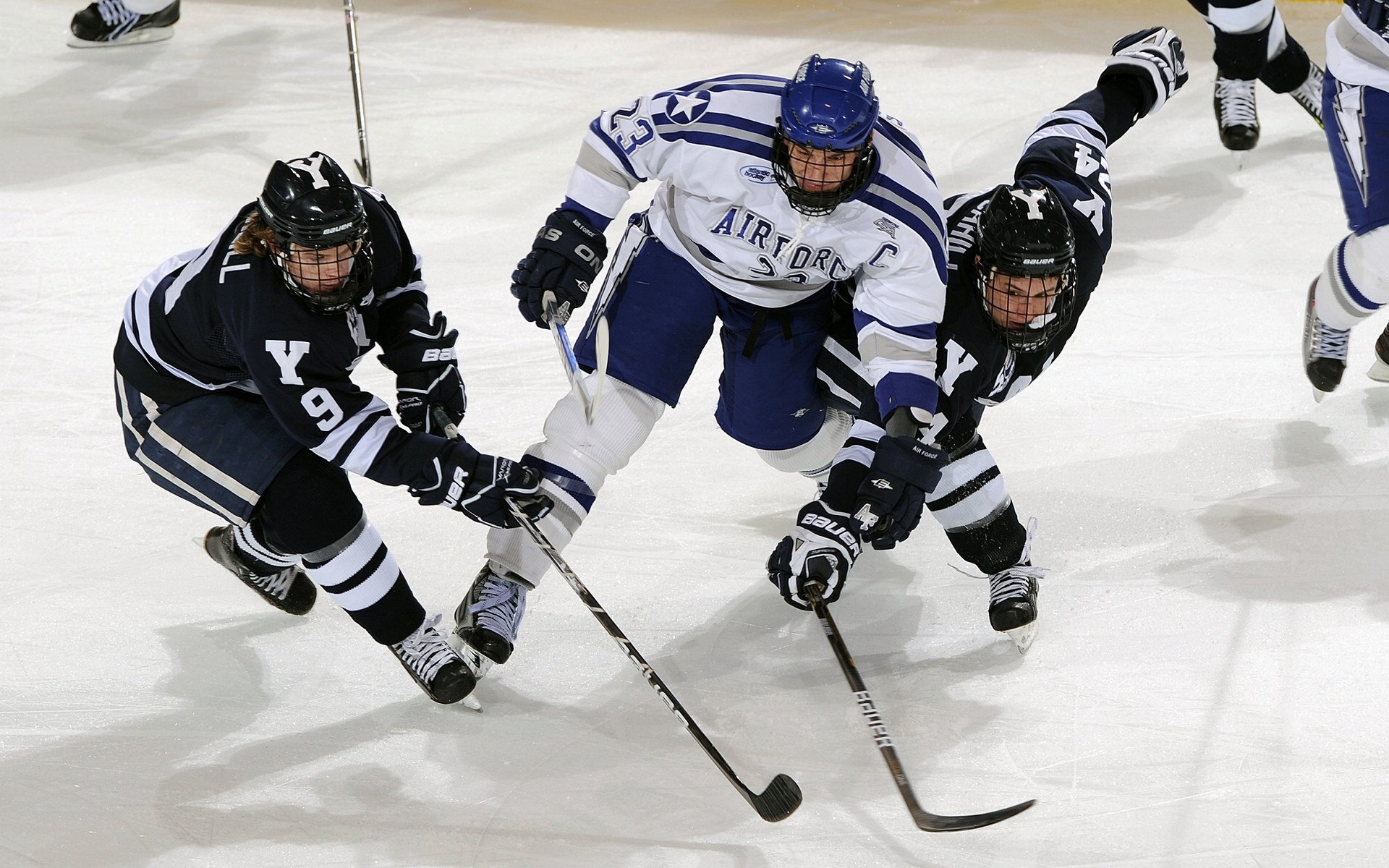 仙扬-帕克加盟山东女篮成征战WCBA赛季最多的外援