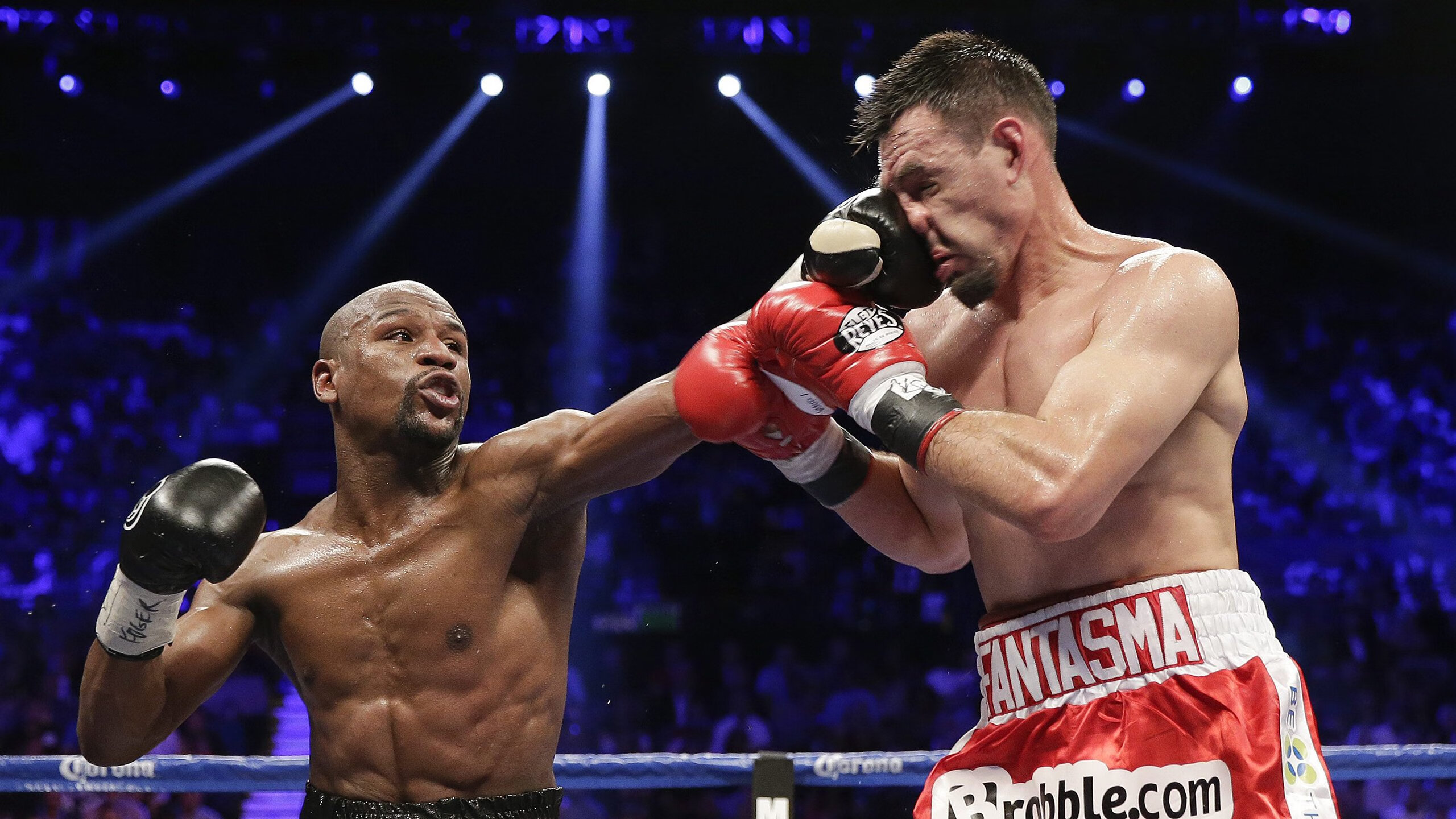 星空官网-“南非羚羊队的宝贵资产：诺克·达维德·彼得森的非凡天赋”